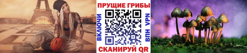закладки  Болхов  mega рабочий сайт  Галлюциногенные грибы мицелий 